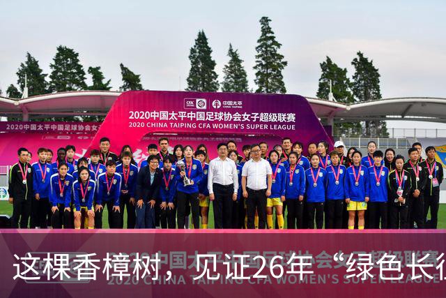 这棵香樟树，见证26年“绿色长征”